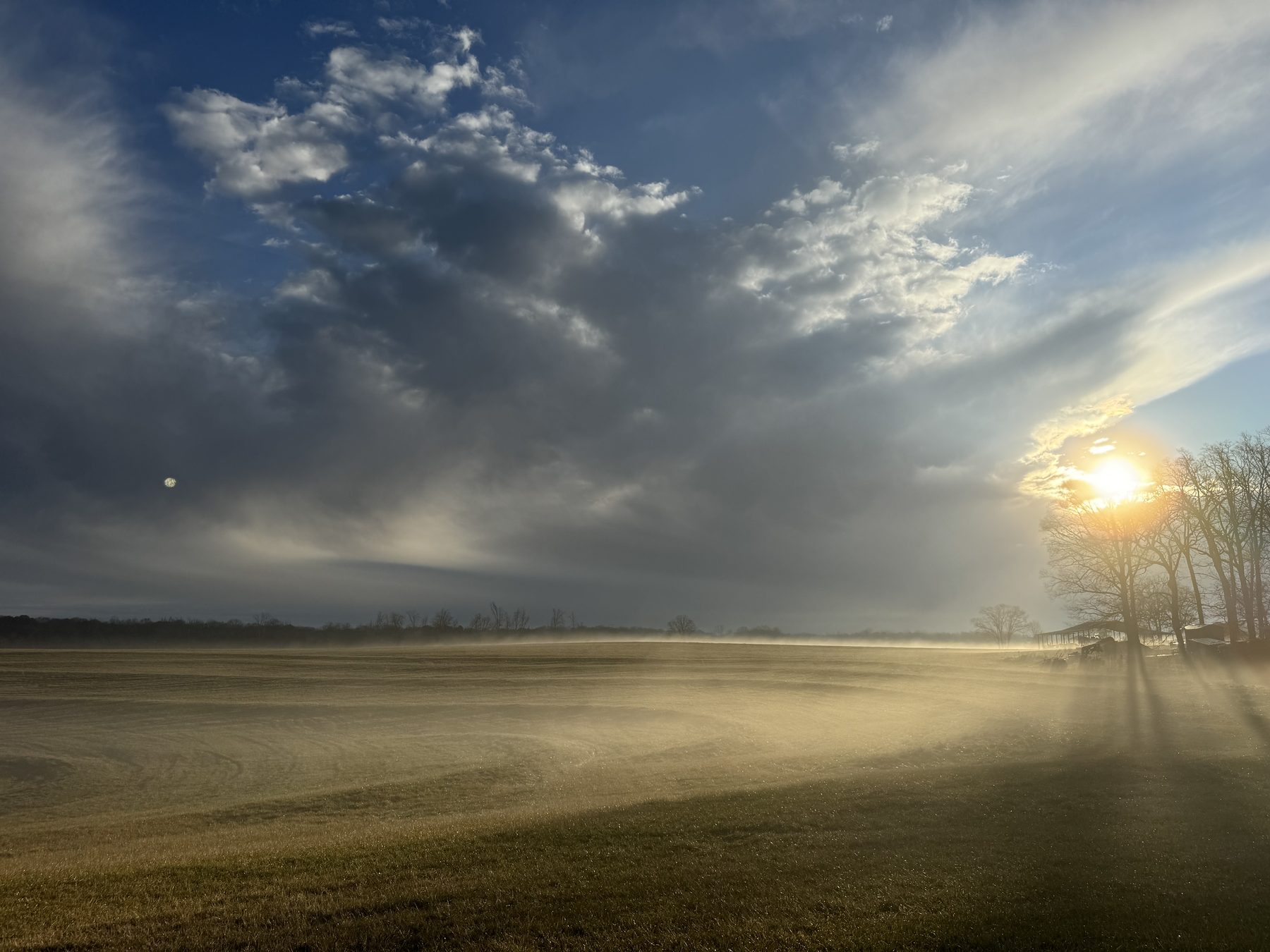 Dramatic sunbeams through morning mist over the field