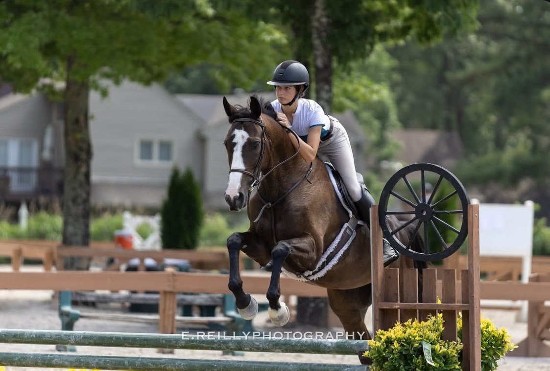 Rider clearing a hunter jump in competition