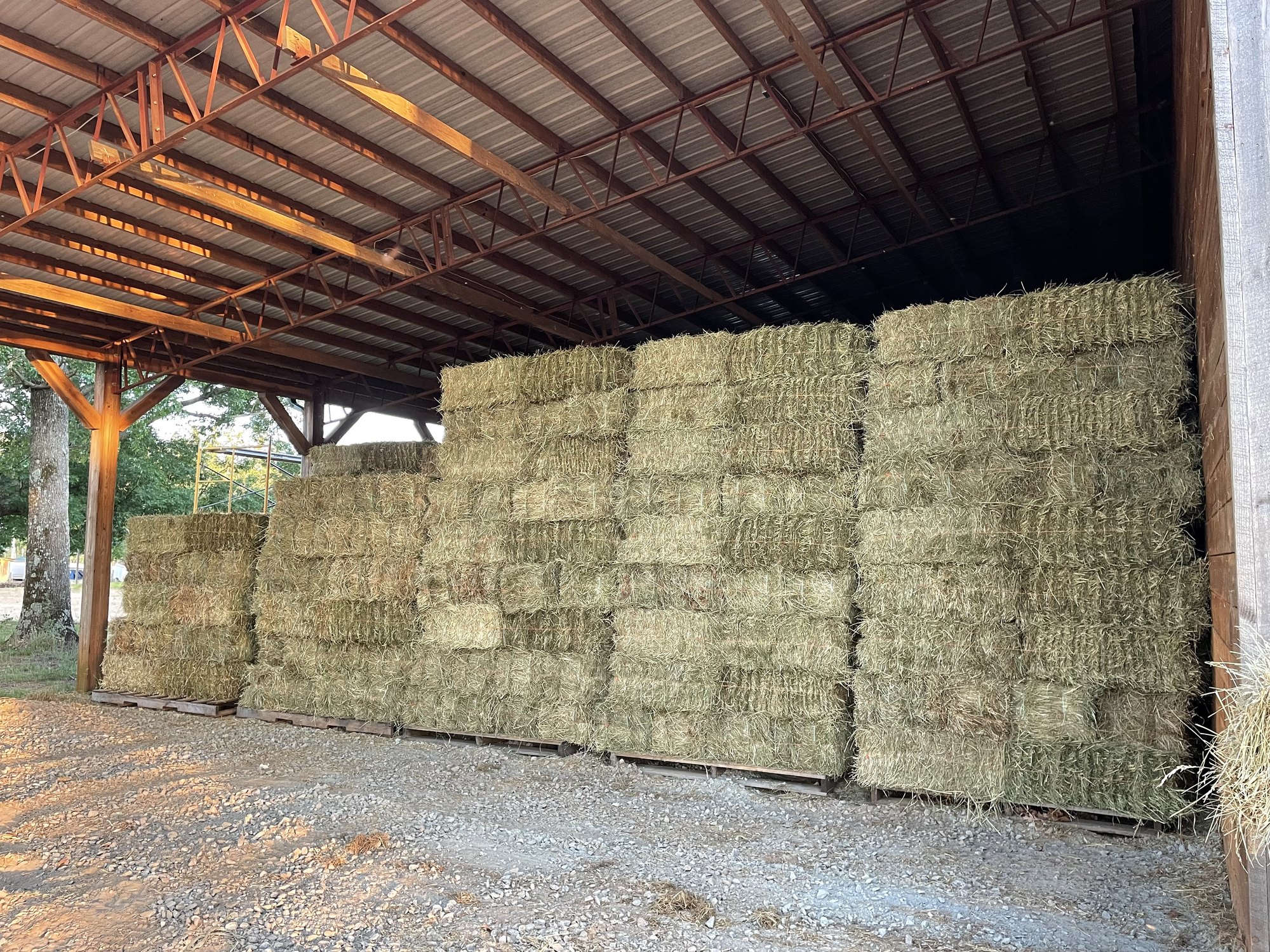 Square bales stacked under the storage pavilion in evening light
