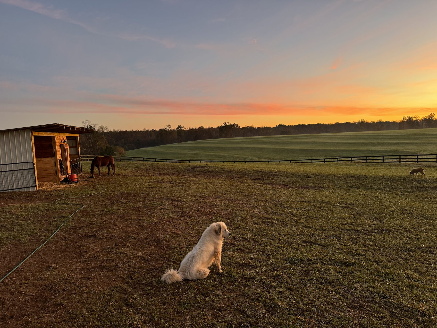 Sunset over the stable with the farm dog